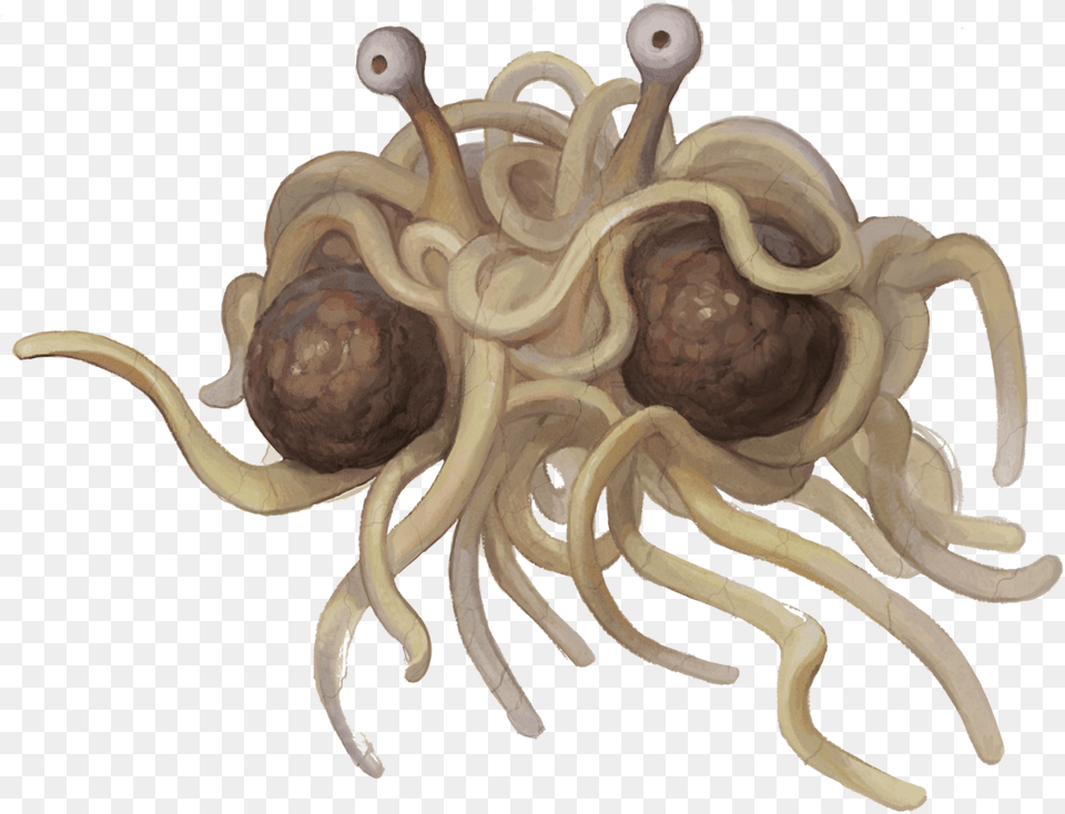 Wiki Flying Spaghetti Monster Transparent, Animal, Invertebrate, Sea Anemone, Sea Life Free Png