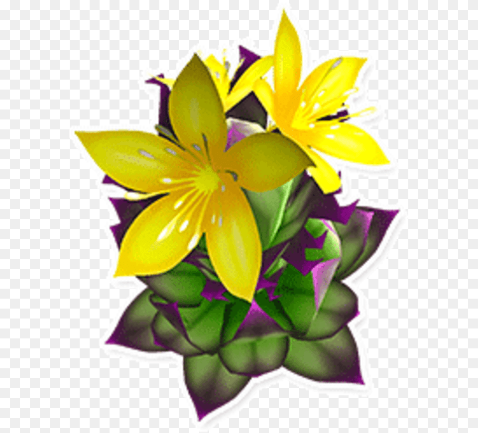 Wiki Help Icon Lily Family, Flower, Flower Arrangement, Flower Bouquet, Plant Png Image