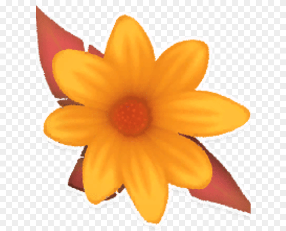 Wiki Help Icon Narcissus, Anther, Daisy, Flower, Petal Free Png Download