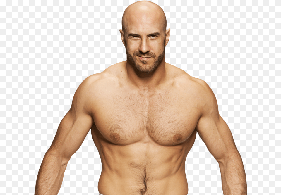 Wiki Wwe Cesaro, Adult, Person, Man, Male Png Image