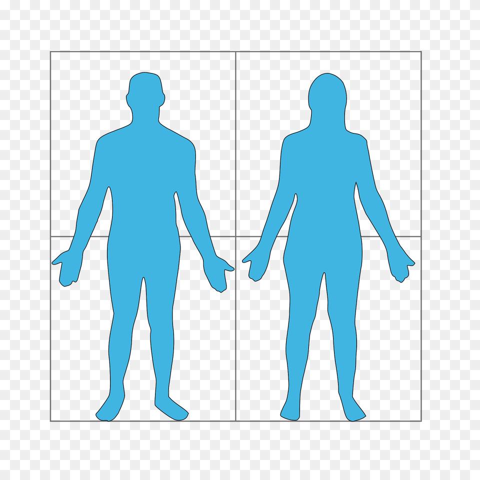 Wikicouple Clipart, Adult, Male, Man, Person Png Image