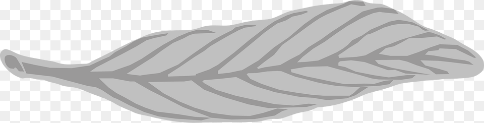 Wikiproject Scouting Bsa Eagle Silver Palm Clipart, Leaf, Plant Free Png Download