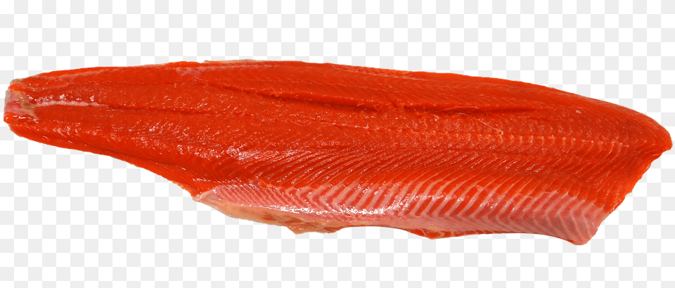 Wild Animal, Fish, Sea Life, Food Free Transparent Png