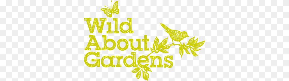 Wild About Gardens, Herbal, Herbs, Leaf, Plant Png