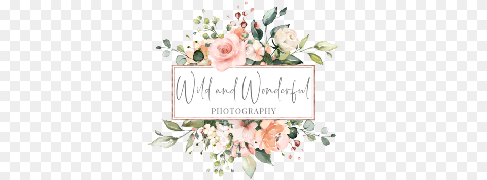Wild And Wonderful Photography West Virginia Maryland Watercolor Flowers Logo Art, Floral Design, Flower, Flower Arrangement Free Png Download