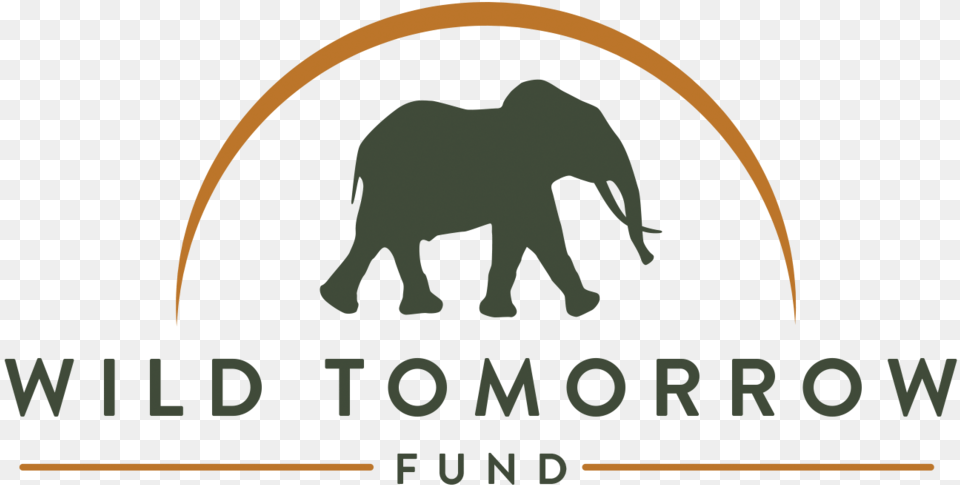 Wild Animal Wild Tomorrow Fund Logo, Elephant, Mammal, Wildlife, Bear Png Image