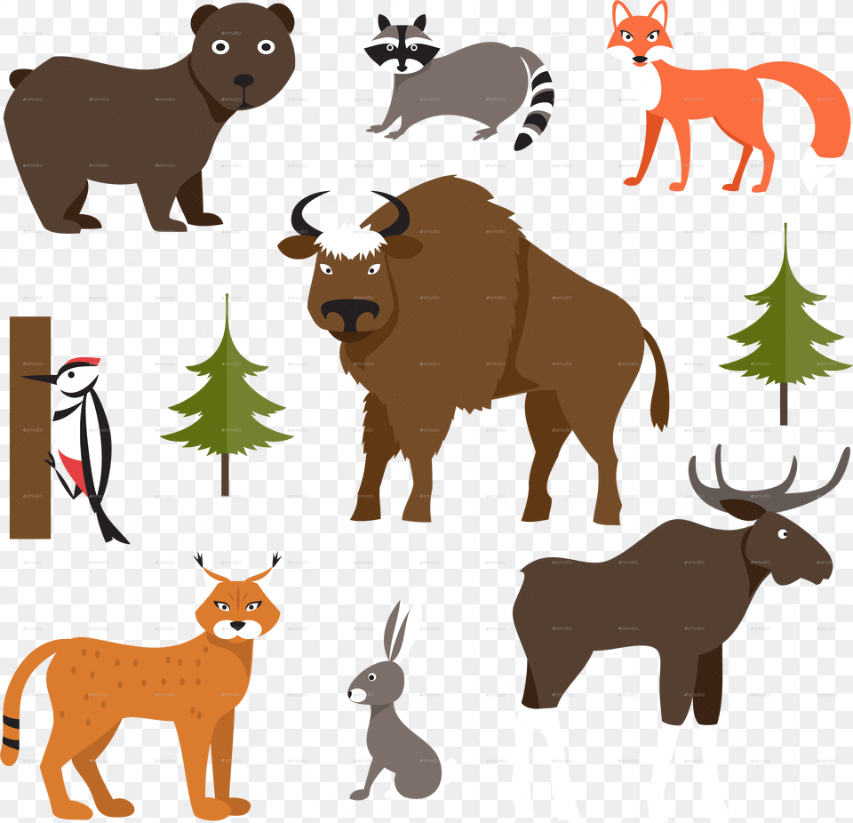 Wild Animals Forest Animals, Animal, Mammal, Wildlife, Bear Png