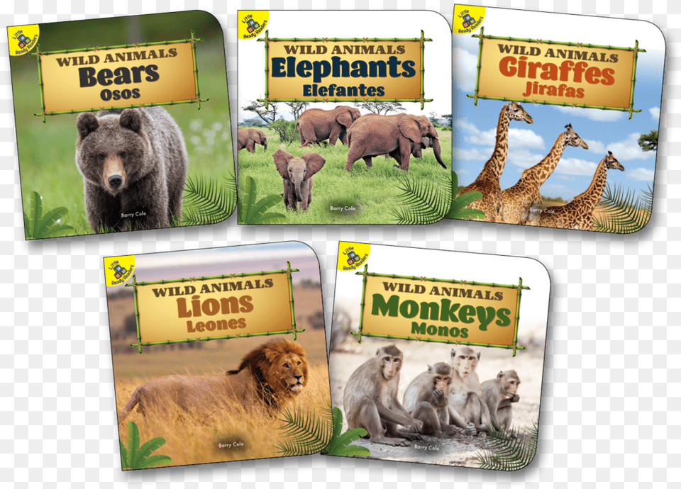 Wild Animals Herd, Animal, Bear, Lion, Mammal Free Png Download