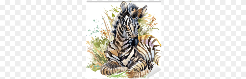 Wild Animals Watercolor Illustration Wall Mural Pixers Watercolor Mother And Baby Tiger, Animal, Mammal, Wildlife, Zebra Png