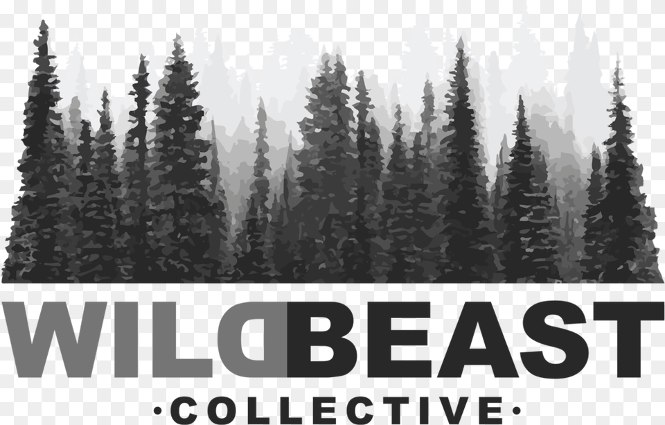 Wild Beast Logo Youre Not My Friend, Pine, Fir, Vegetation, Tree Free Png