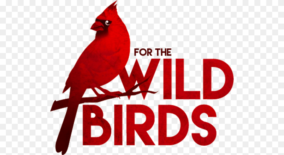 Wild Bird Logo, Animal, Cardinal Free Png