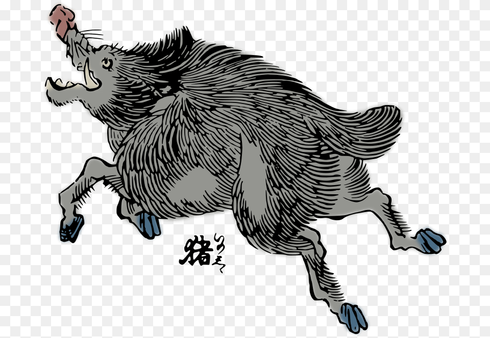 Wild Boar, Animal, Bird, Chicken, Fowl Png Image