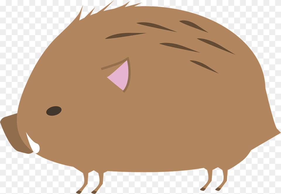 Wild Boar Clipart, Animal, Mammal, Rodent, Fish Png