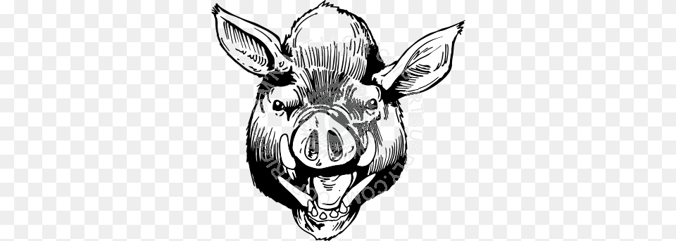 Wild Boar Head Facing Forward, Animal, Mammal, Person, Wildlife Png