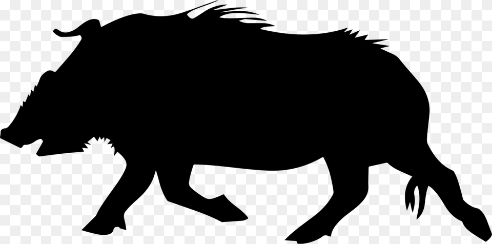 Wild Boar Mammal Computer Icons Silhouette Pack, Gray Png