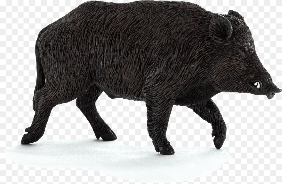 Wild Boar Pic Transparent, Animal, Hog, Mammal, Pig Free Png Download