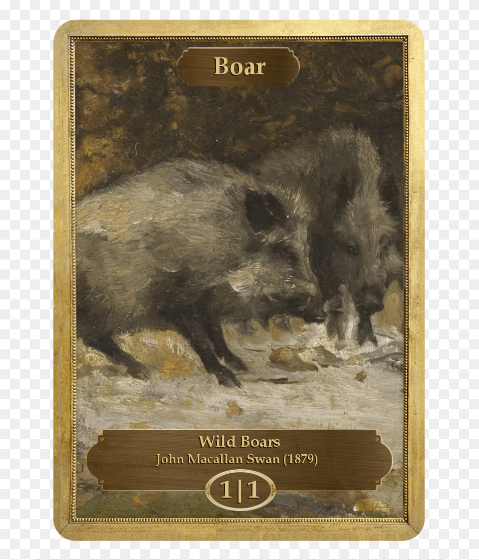 Wild Boars, Animal, Boar, Hog, Mammal Free Png Download