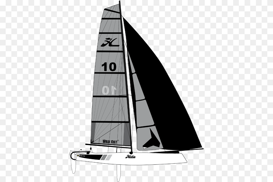 Wild Cat Hobie Cat, Boat, Sailboat, Transportation, Vehicle Png Image