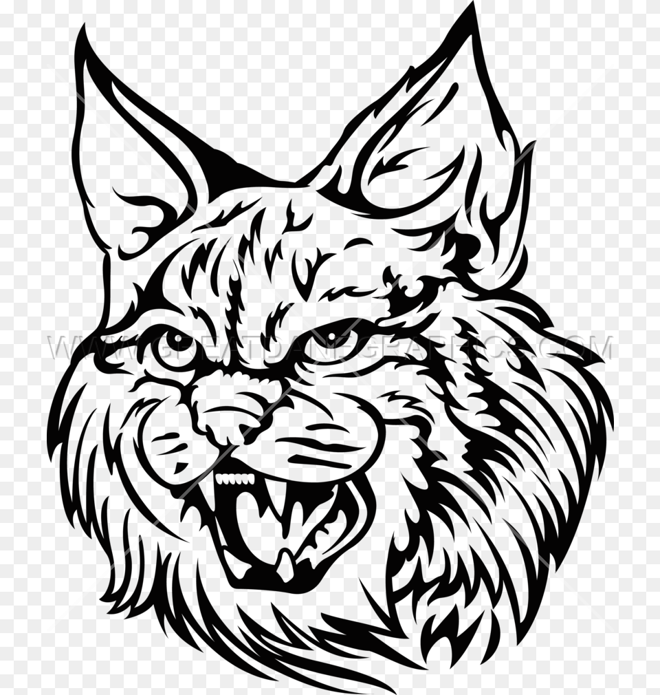 Wild Cat Transparent Wildcat On Black And White, Animal, Lynx, Mammal, Wildlife Png Image