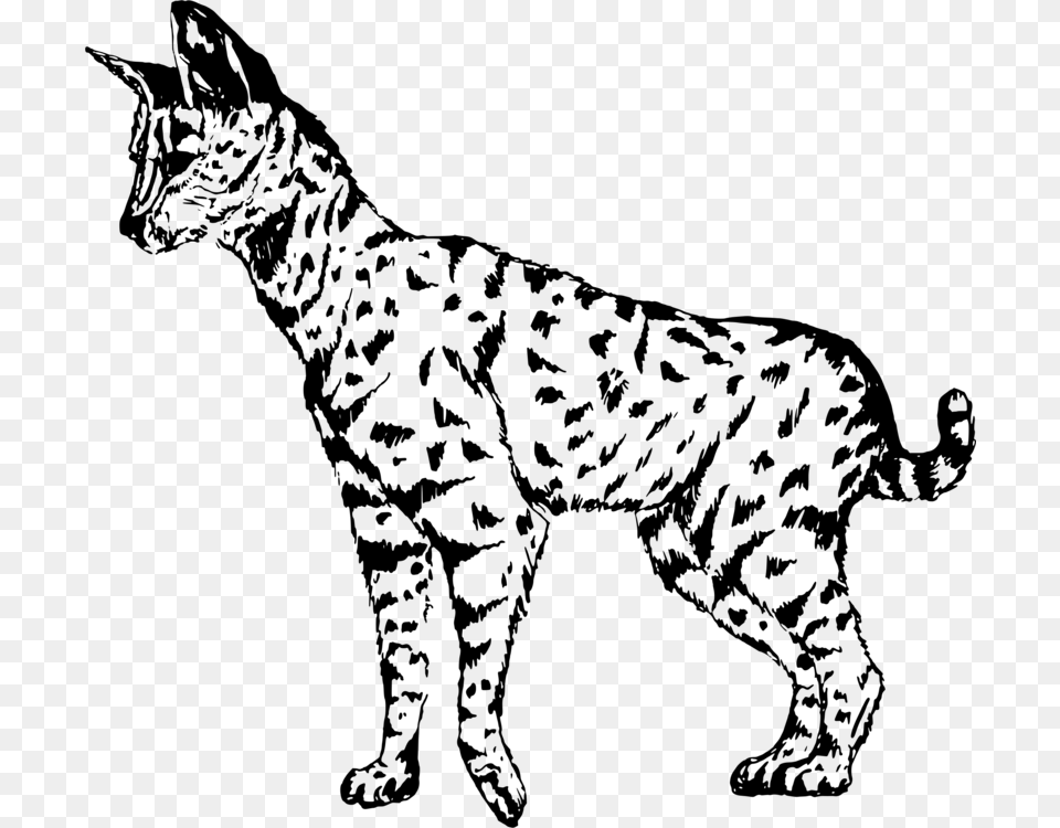 Wild Catcarnivorandog Breed Serval Clipart Black And White, Gray Free Png