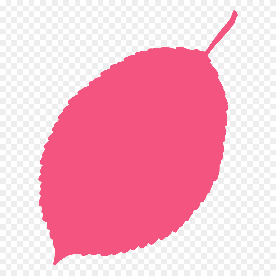 Wild Cherry Tree Leaf Silhouette, Plant, Balloon, Person, Food Free Transparent Png