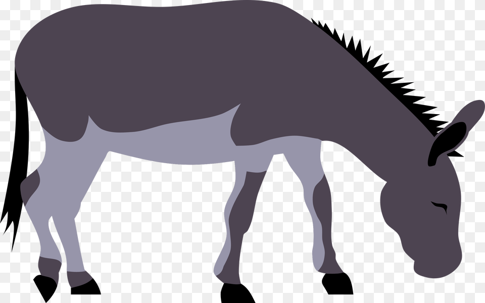 Wild Donkey, Animal, Mammal Free Png