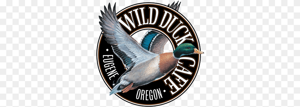 Wild Duck Cafe Domestic Duck, Animal, Bird, Waterfowl Free Png Download