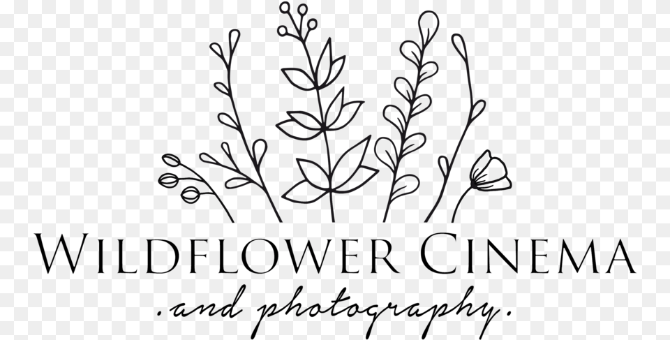 Wild Flower, Text, Outdoors Free Png Download