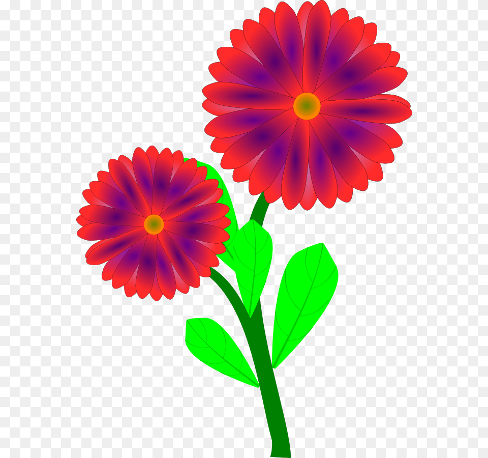 Wild Flower Clip Art, Daisy, Petal, Plant, Dahlia Free Png