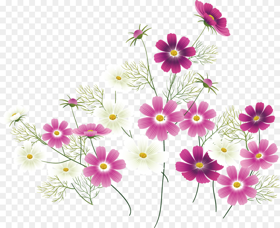 Wild Flower Clipart Pink Wildflower Clipart, Art, Daisy, Floral Design, Graphics Free Png