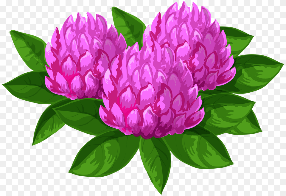 Wild Flowers Clip Art Free Transparent Png