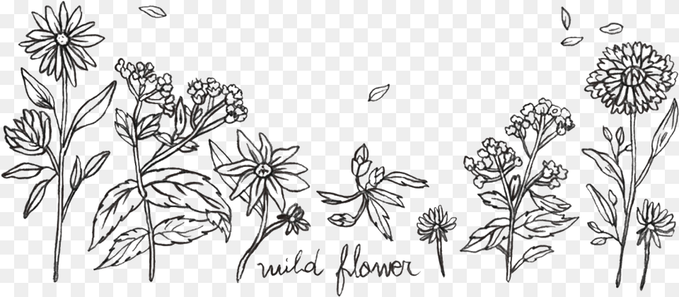 Wild Flowers Stamp Drawing, Plant, Nature, Outdoors, Art Free Png Download