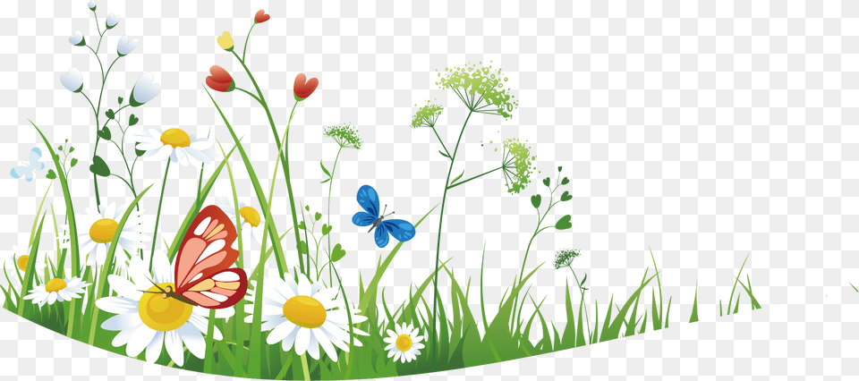 Wild Flowers With Grass Flower Wild Grass, Art, Daisy, Plant, Graphics Png
