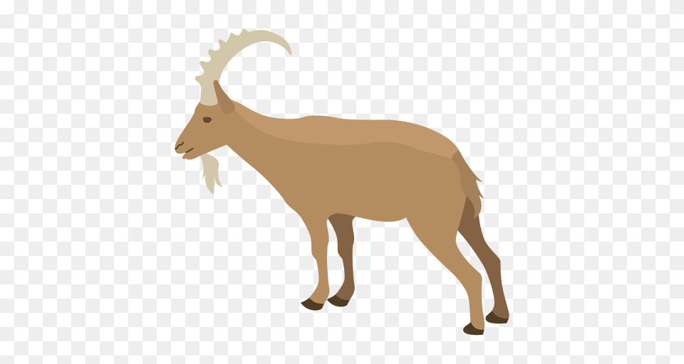 Wild Goat Illustration, Animal, Mammal, Livestock, Cattle Free Transparent Png