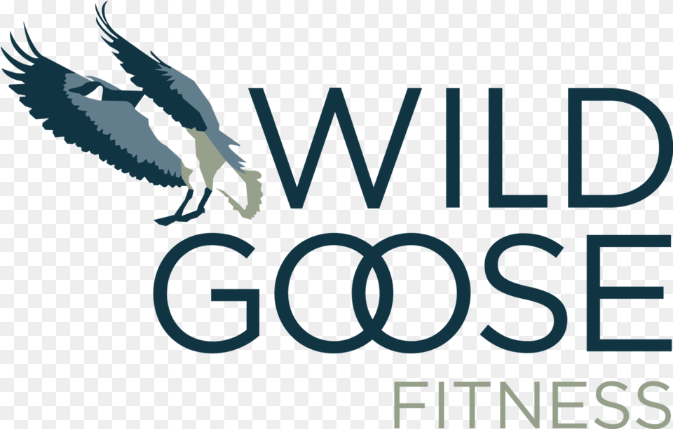 Wild Goose Fitness Transparent, Animal, Bird, Flying, Eagle Png