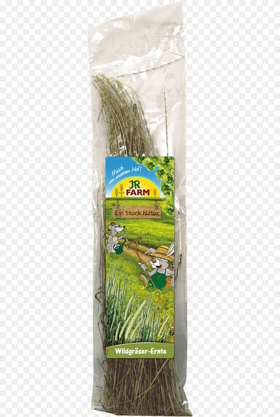 Wild Grass Grass, Herbal, Herbs, Plant, Countryside Png