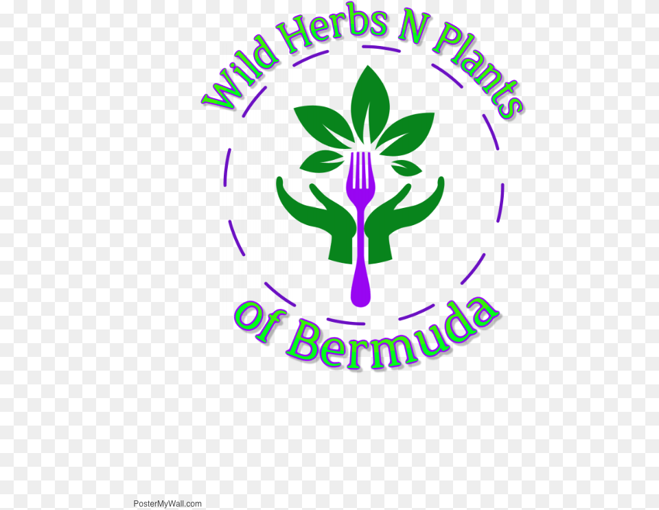 Wild Herbs N Plants Of Bermuda Logo Graphic Design, Cutlery Png