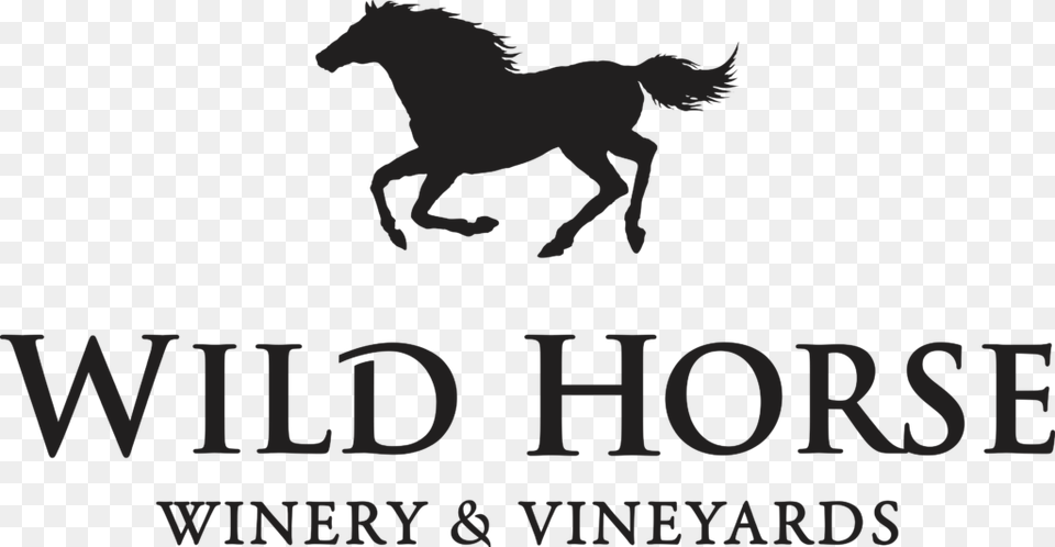 Wild Horse Wine Logo, Animal, Colt Horse, Mammal, Person Free Png Download