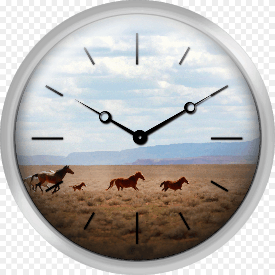 Wild Horses Navajo Nation Indian Reservation Usa Red Wall Clock For Christmas Transparents, Aircraft, Airplane, Transportation, Vehicle Png Image