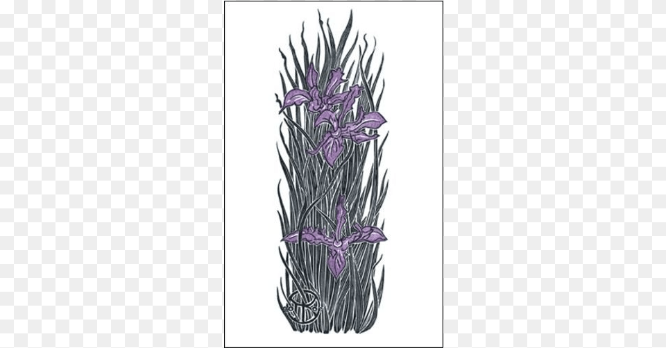 Wild Iris, Flower, Plant, Purple, Art Png Image