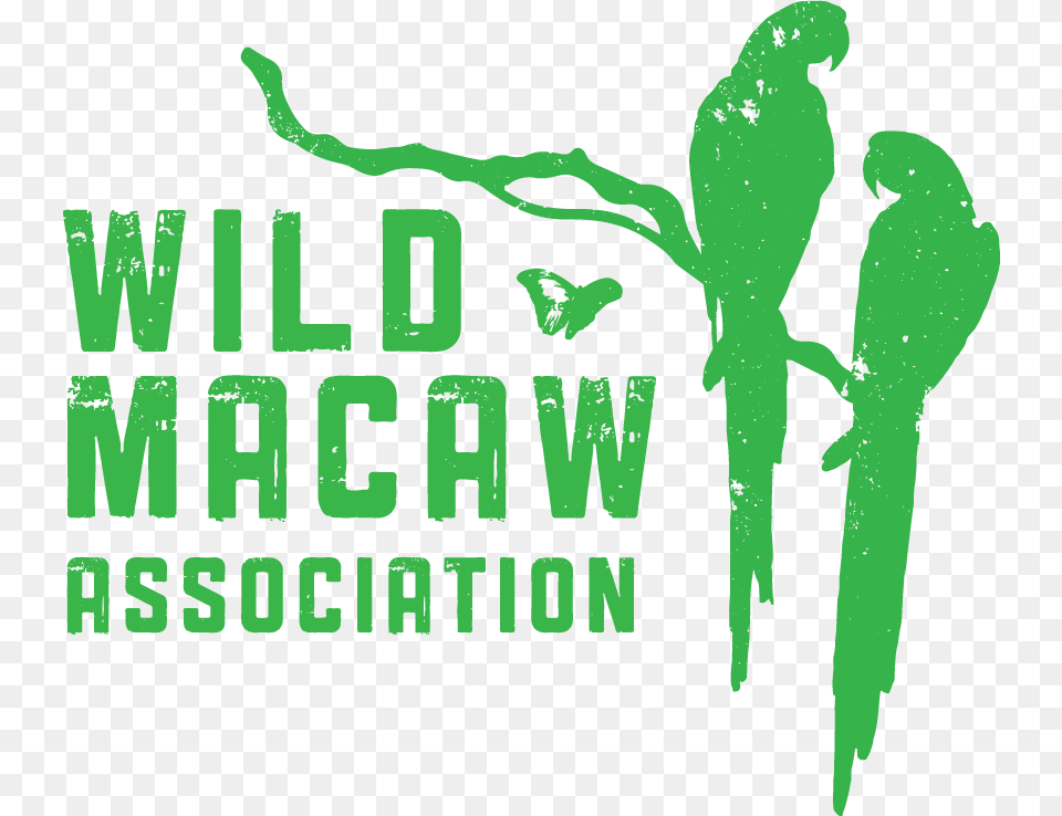 Wild Macaw Association Wild Macaw Association Macaw, Amphibian, Animal, Tadpole, Wildlife Png