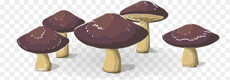 Wild Mushrooms Clipart, Fungus, Plant, Mushroom, Agaric Free Transparent Png