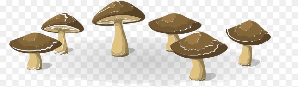 Wild Mushrooms Clipart, Fungus, Plant, Mushroom, Agaric Png