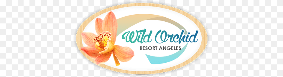 Wild Orchid Resort Angeles Wild Orchid Beach Resort Logo, Flower, Plant, Anther, Petal Free Transparent Png