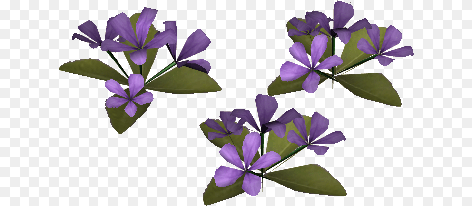 Wild Petunia Periwinkle, Flower, Iris, Plant, Purple Png Image
