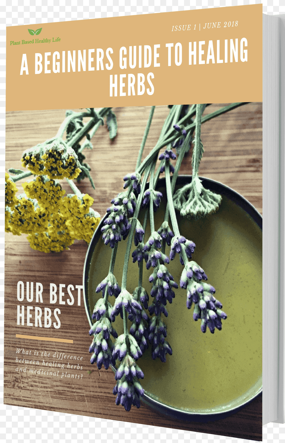 Wild Plants Herbal Salve, Flower, Lavender, Plant, Advertisement Png