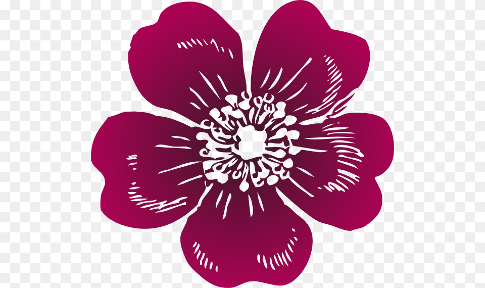 Wild Rose Clip Art Wild Rose Clipart, Anemone, Anther, Plant, Petal Free Transparent Png