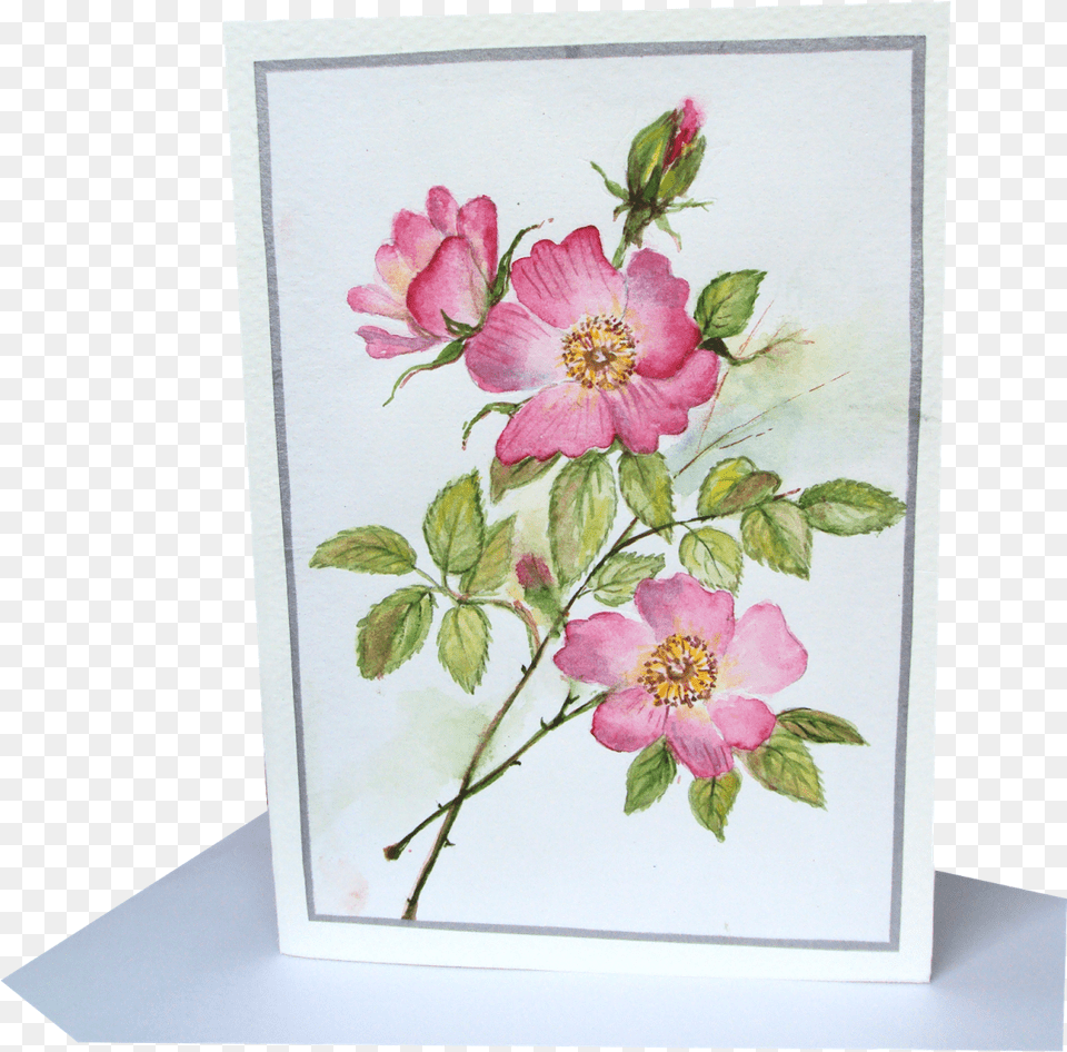 Wild Roses Floral Design, Envelope, Greeting Card, Mail, Pattern Png Image