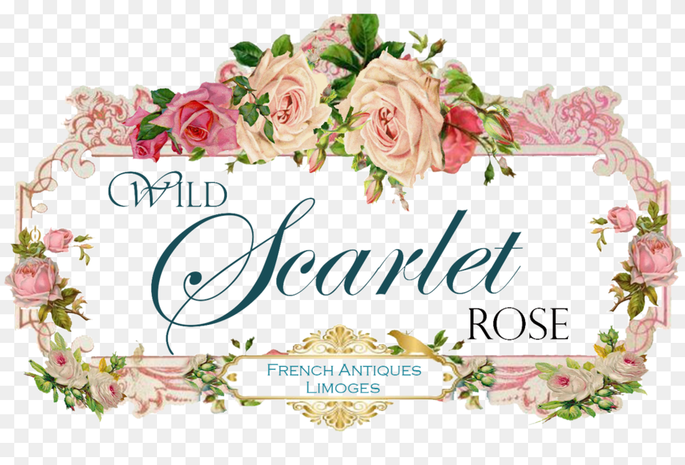 Wild Scarlet Rose Buy Antique Porcelain Limoges Hand Painted, Art, Floral Design, Flower, Graphics Png