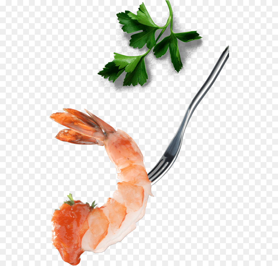 Wild Shrimp Shrimps, Cutlery, Fork, Herbs, Plant Png